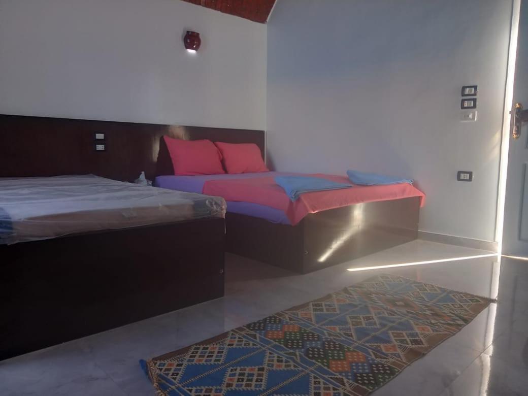 Kafana Guest House Nile View Aswan Bagian luar foto