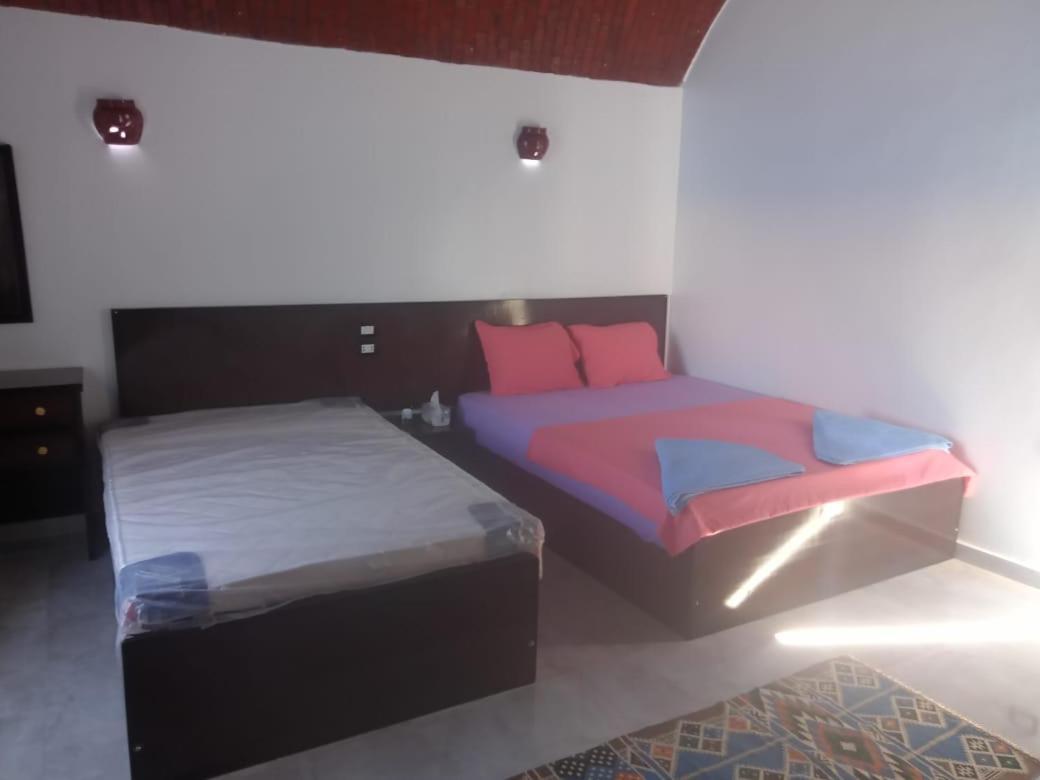 Kafana Guest House Nile View Aswan Bagian luar foto